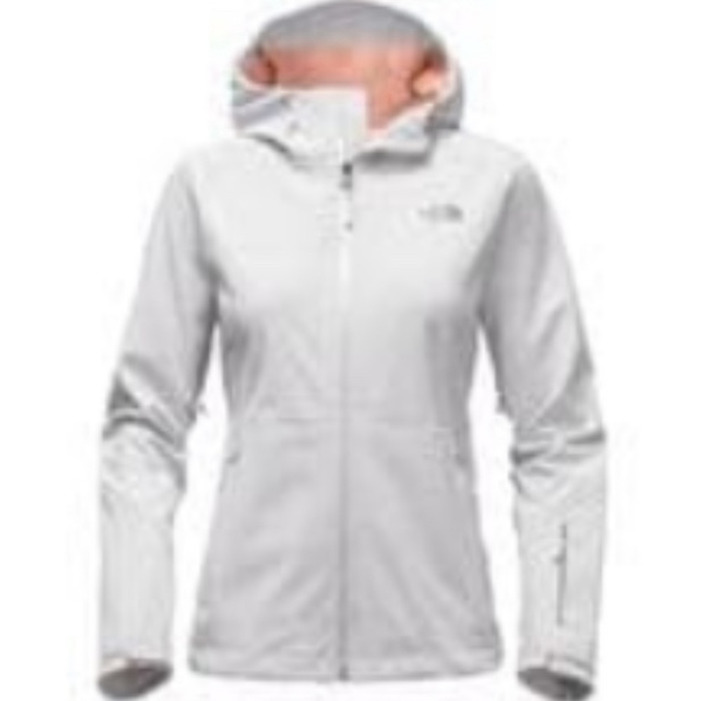 The North Face Apex Flex GTX Hooded Rain/Ski Waterproof GORETEX Jacket - Women's